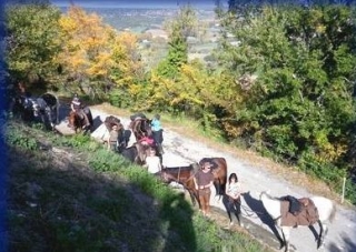  Reitausflüge von La Provence a Cheval 